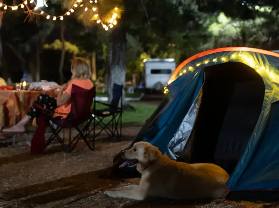 Dog and family and RV campground at night