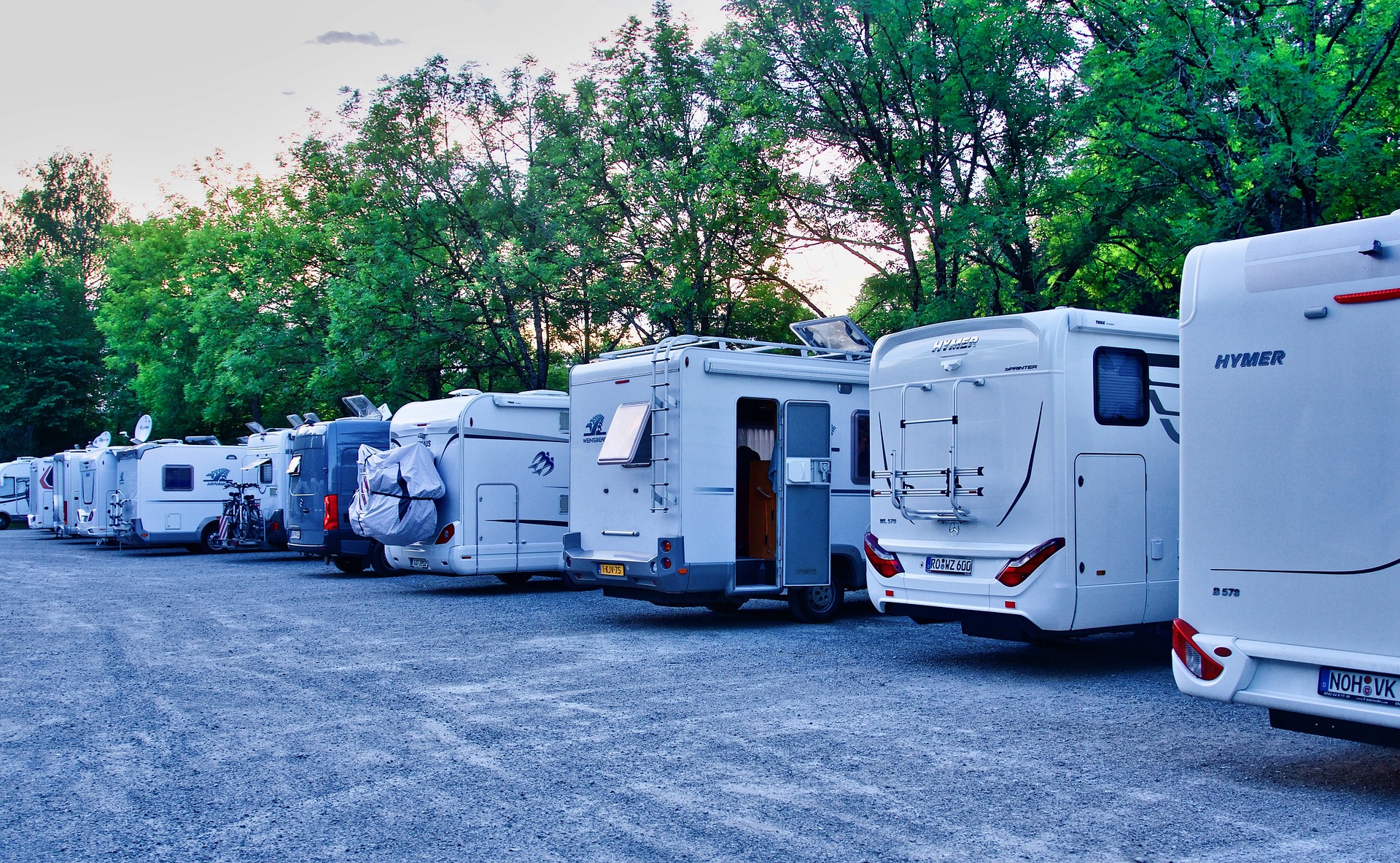 RV motorhomes lined up at a campsite